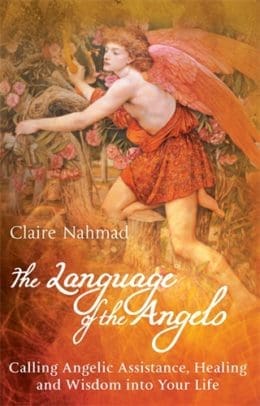 The Language of the Angels - Profile Books