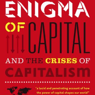The Enigma of Capital (B Format Paperback)