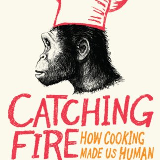 Catching Fire (B Format Paperback)