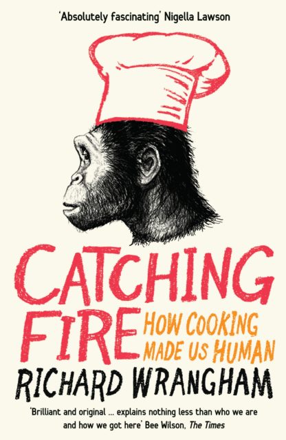 Catching Fire (B Format Paperback)