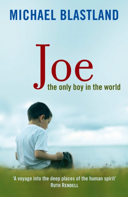 Joe (B Format Paperback)