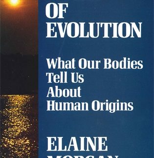 Scars of Evolution ()