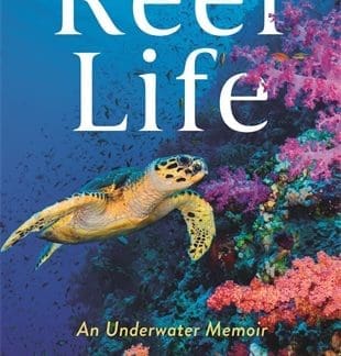 Reef Life (Hardback)