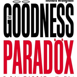 The Goodness Paradox (Epub)