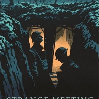 Strange Meeting (Hardback)