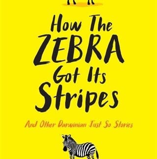How the Zebra Got its Stripes (Hardback)