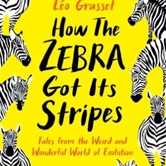 How the Zebra Got its Stripes (Epub)