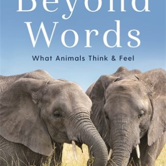 Beyond Words (Epub)