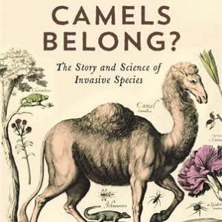 Where Do Camels Belong? (B Format Paperback)