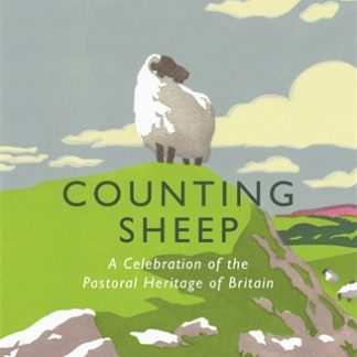 Counting Sheep (B Format Paperback)