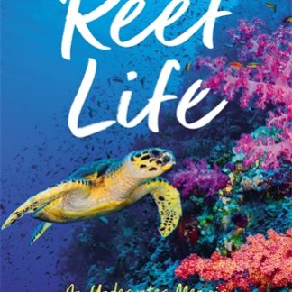 Reef Life (B Format Paperback)