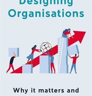 Designing Organisations (Epub)