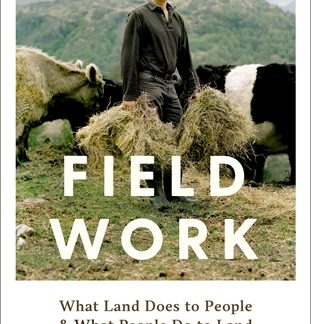 Field Work (B Format Paperback)