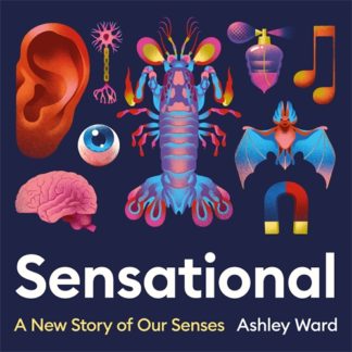 Sensational (Digital Audio, MP3)