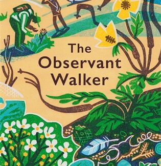 The Observant Walker (B Format Paperback)