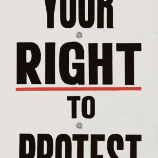 Your Right to Protest (Accessible EPUBAccessible EPUB)