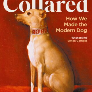 Collared (Hardback)
