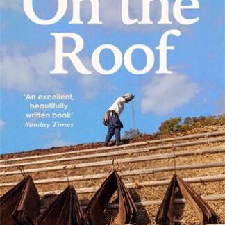 On The Roof (B Format Paperback)