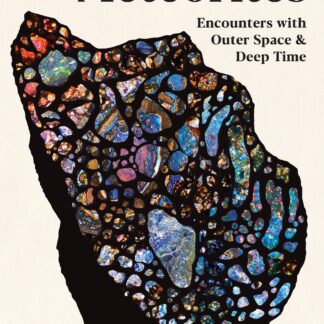 The Meteorites (Hardback)
