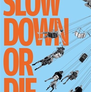 Slow Down or Die (Accessible EPUBAccessible EPUB)