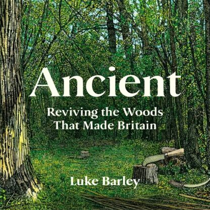Ancient (Digital Audio, MP3)