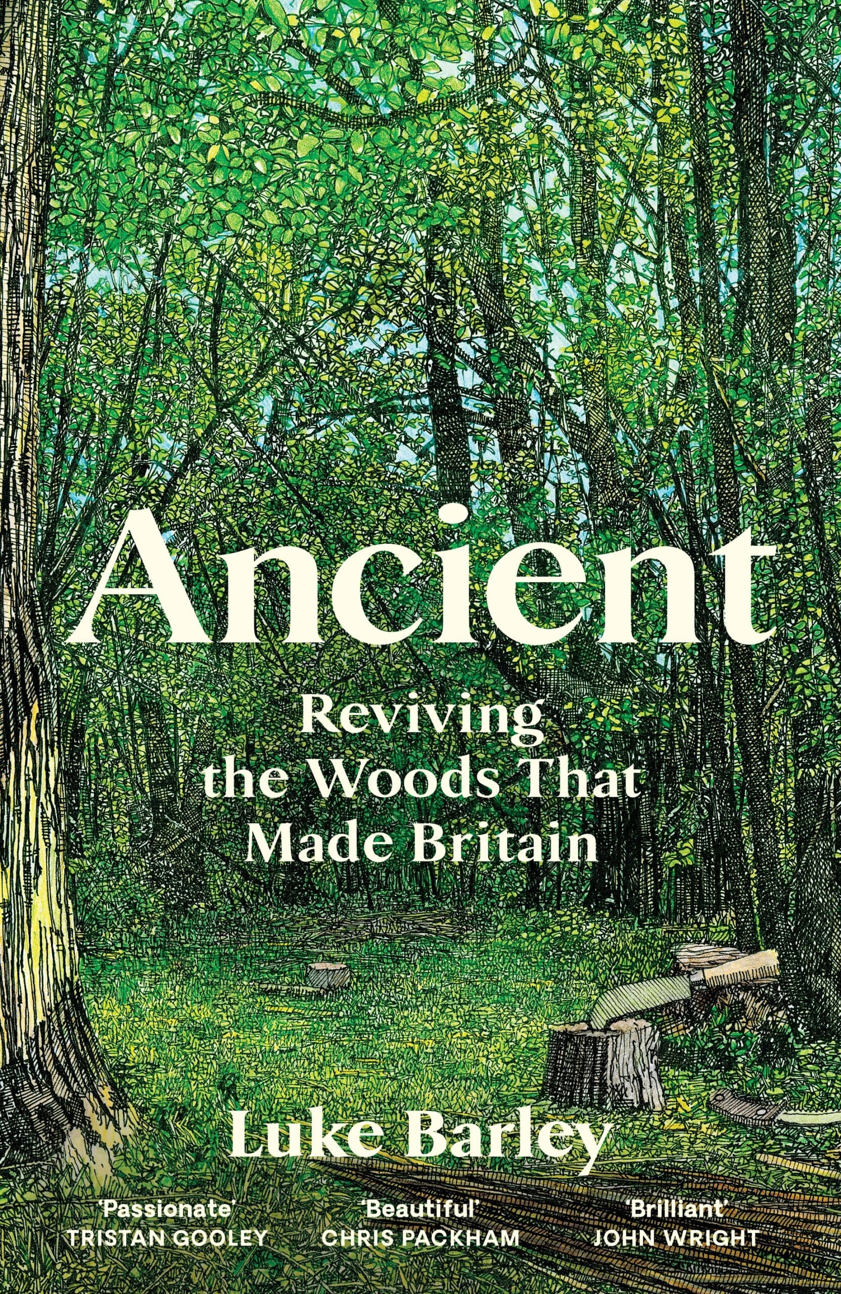 Ancient (Hardback)