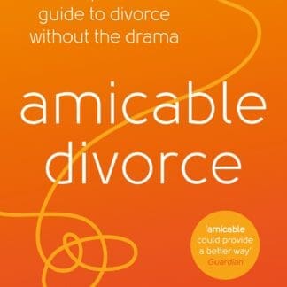 amicable divorce (Trade Paperback)