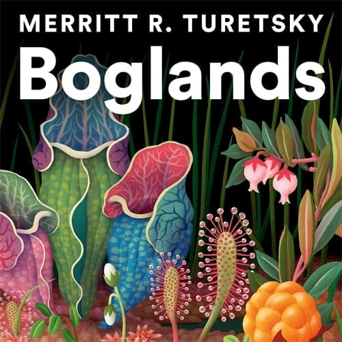 Boglands (Digital Audio, MP3)