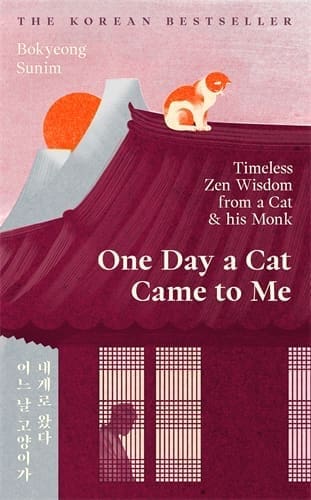 One Day a Cat Came to Me (Hardback)