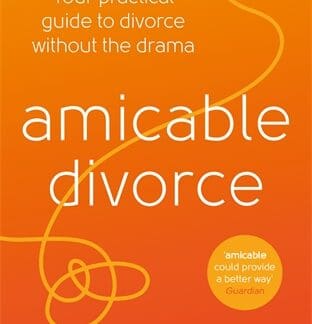 amicable divorce (B Format Paperback)