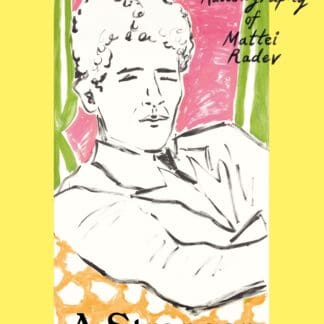 A Stranger in Bloomsbury (Accessible EPUBAccessible EPUB)