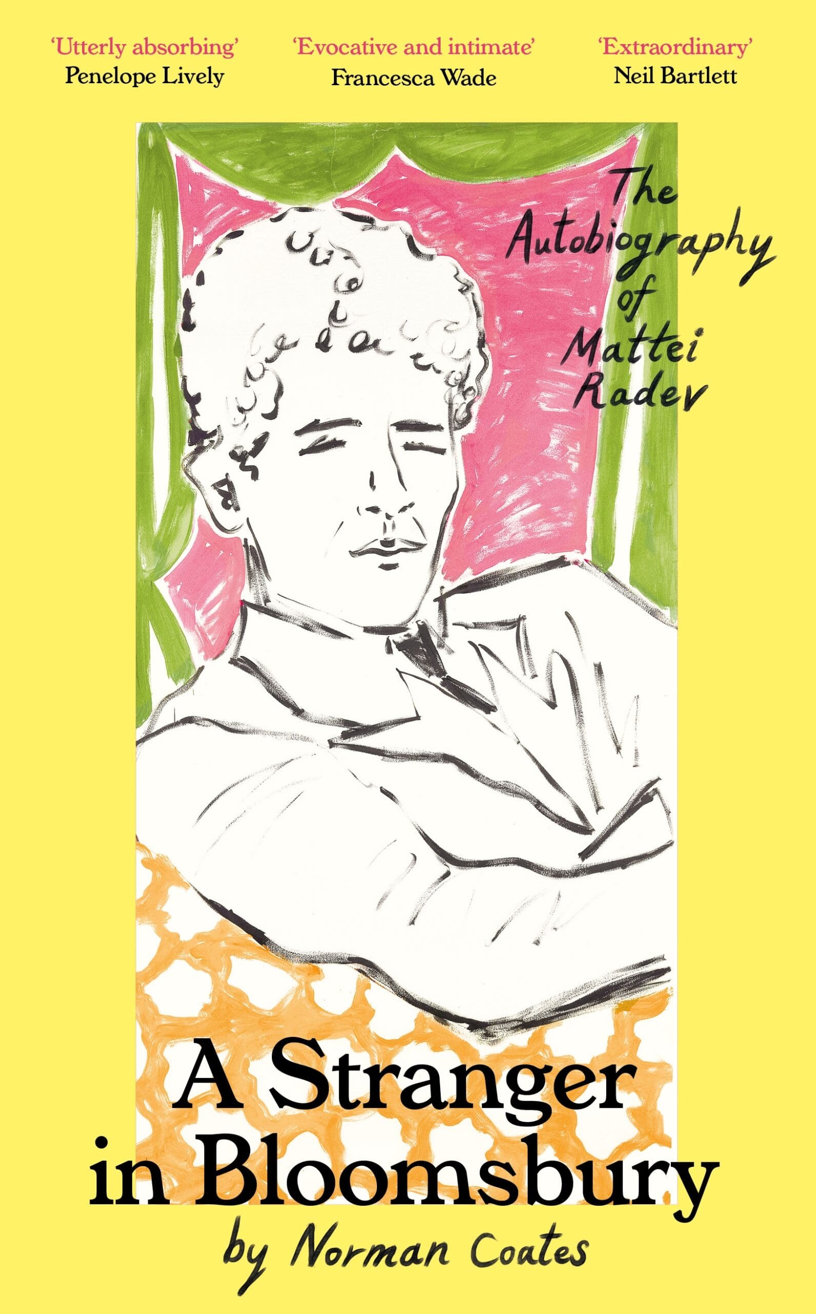 A Stranger in Bloomsbury (Hardback)